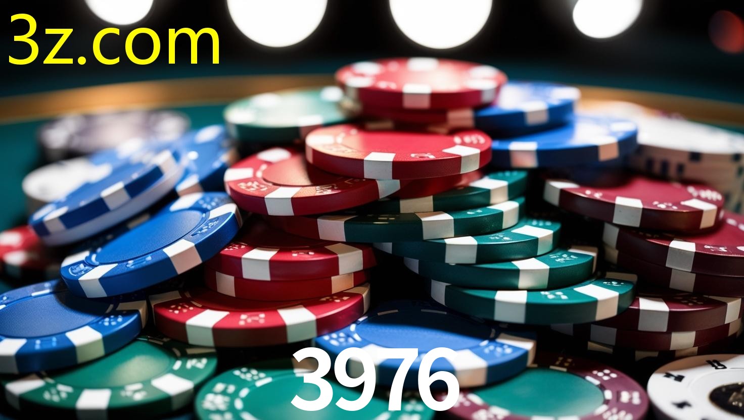 3976.COM