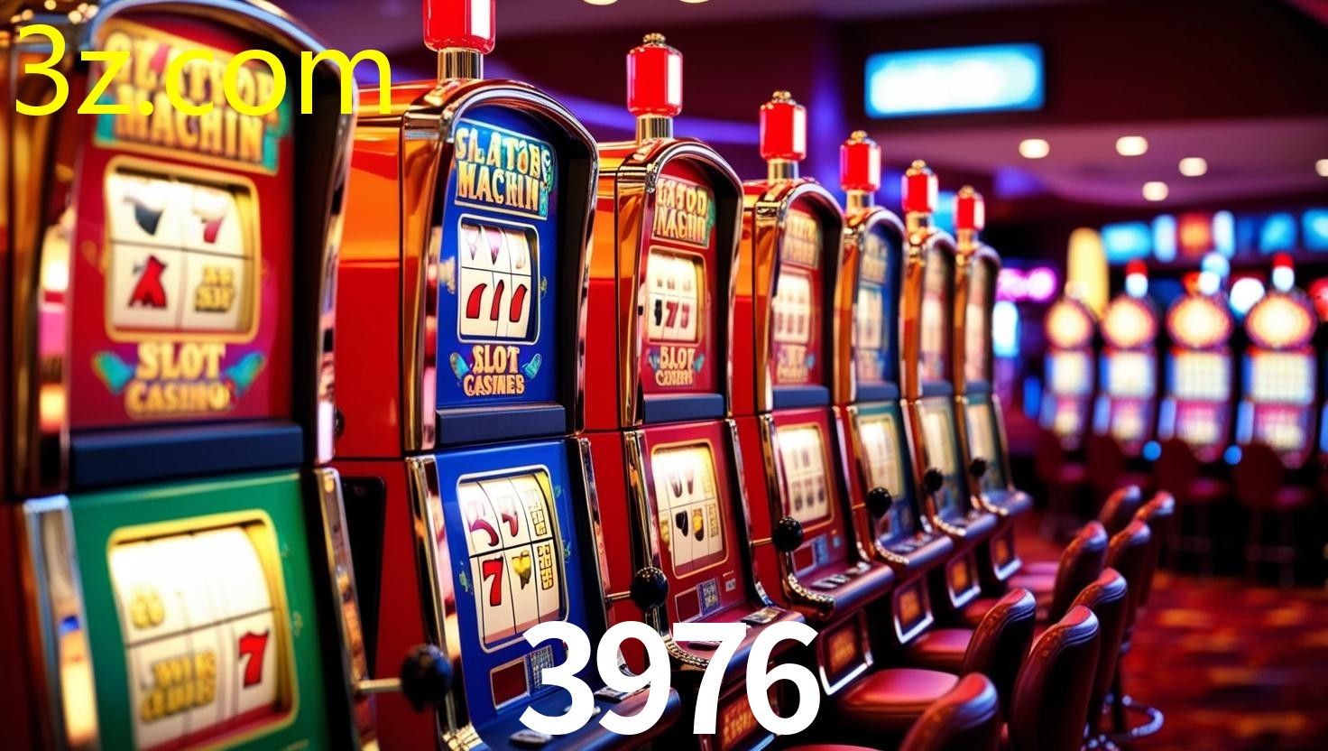 3976.COM