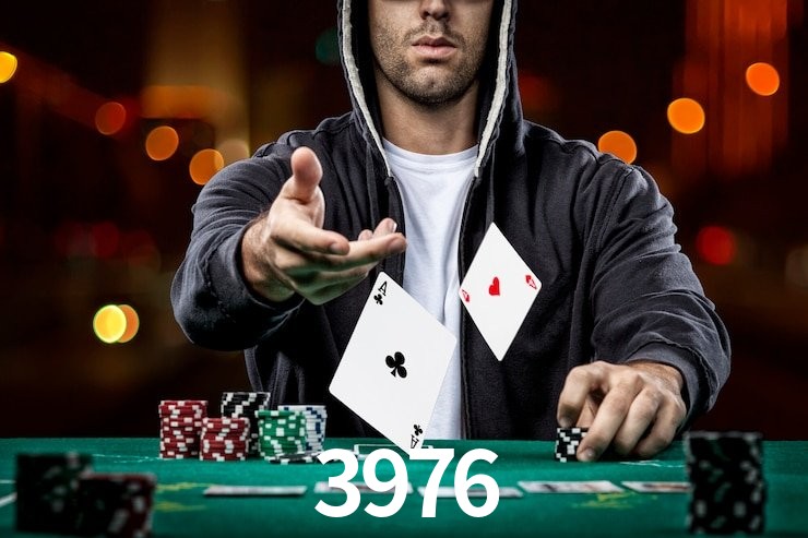 3976.com